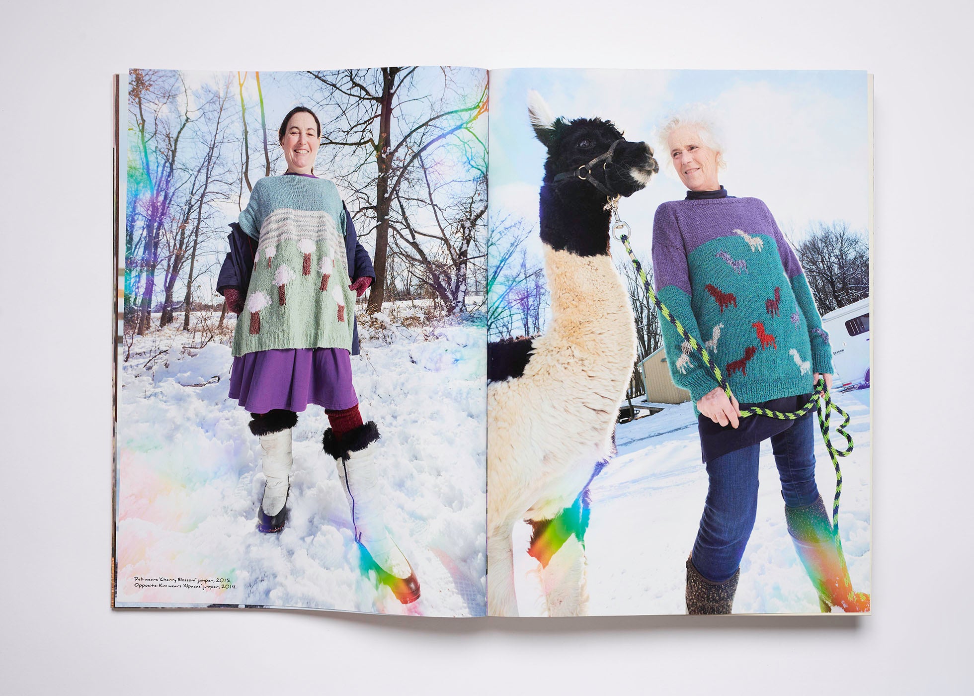 ISSUE 11: BUFFALO EARTH (SS’20)