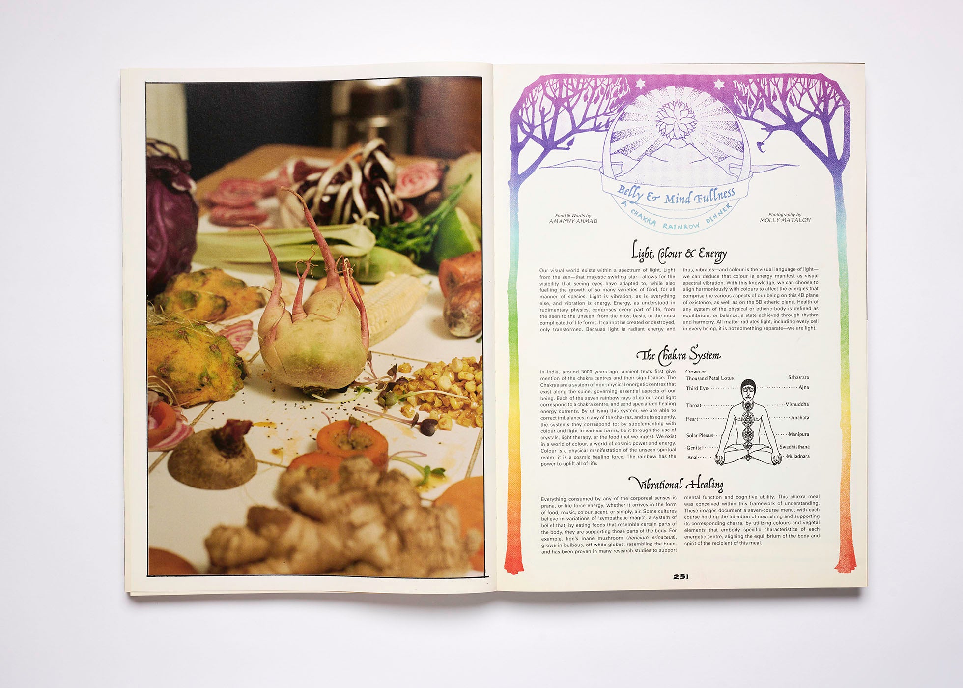 ISSUE 11: BUFFALO EARTH (SS’20)