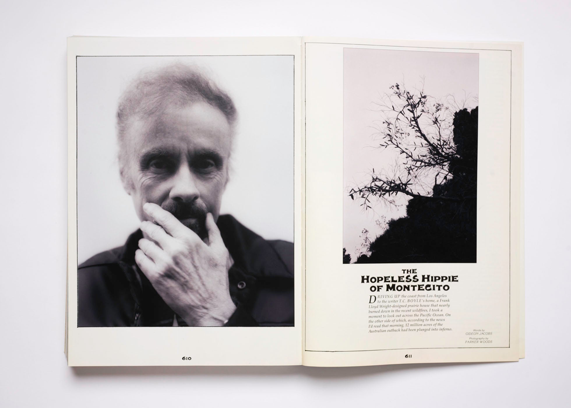 ISSUE 11: BUFFALO EARTH (SS’20)