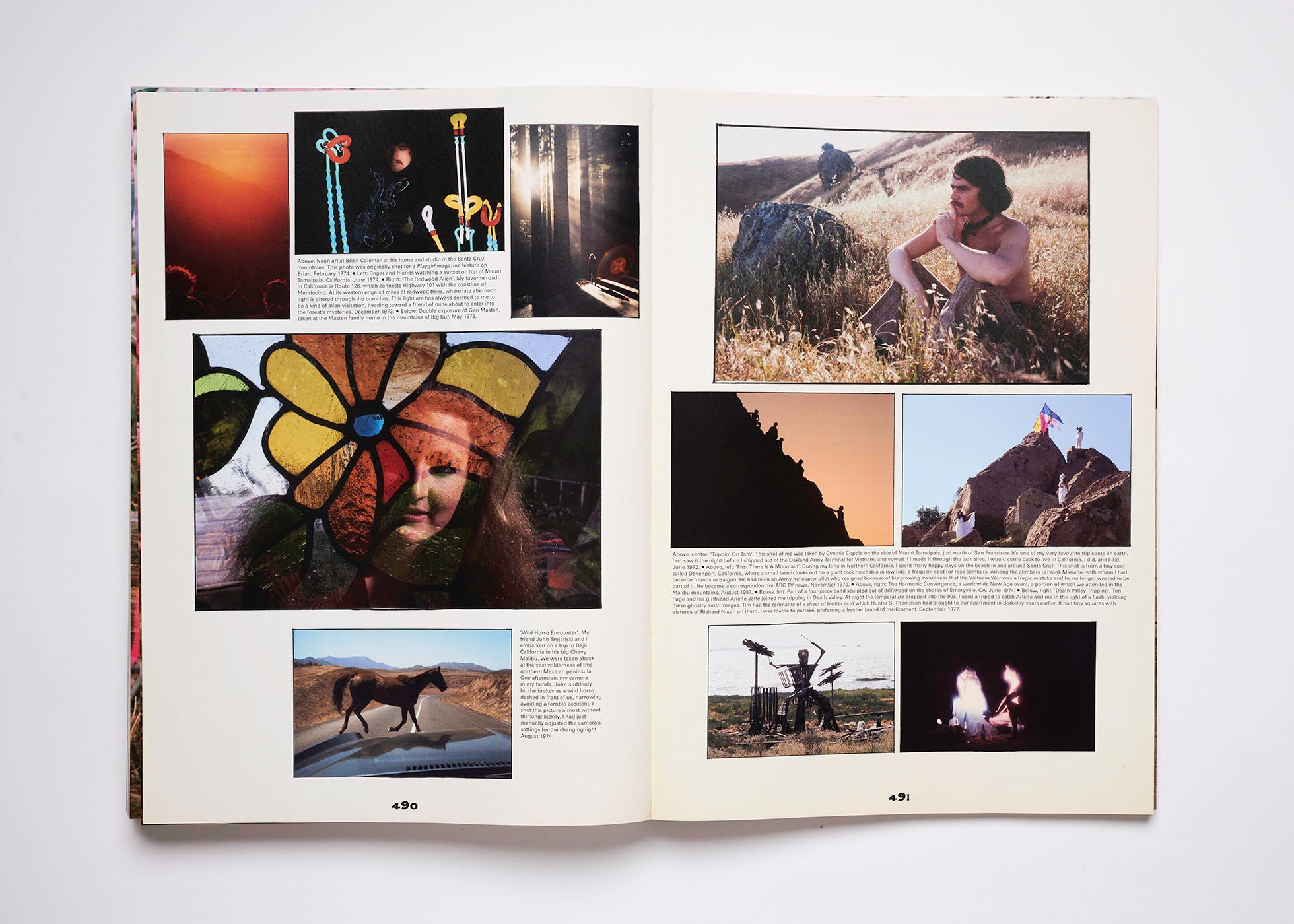 ISSUE 11: BUFFALO EARTH (SS’20)