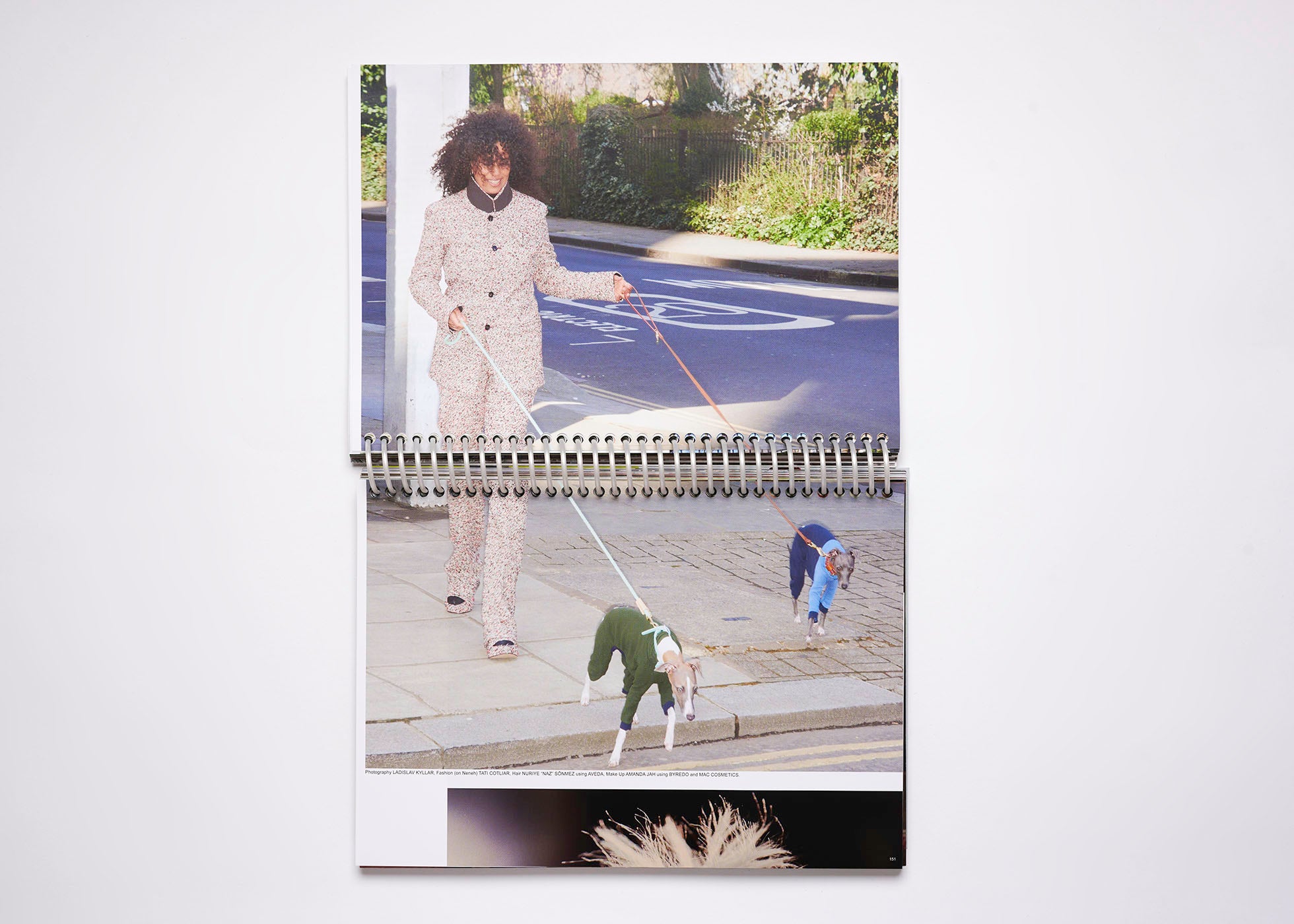 ISSUE 13: BUFFALO VIRAL (SS’21)