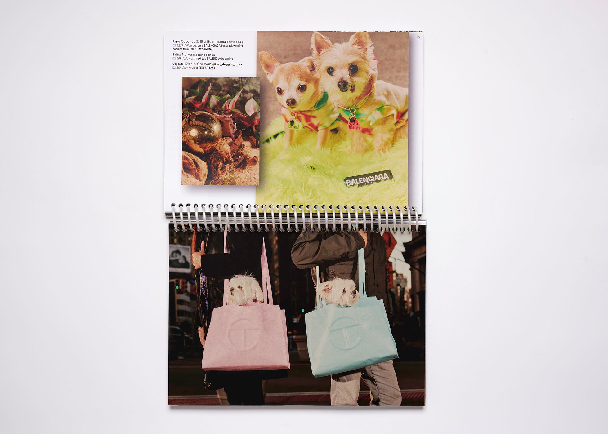 ISSUE 13: BUFFALO VIRAL (SS’21)