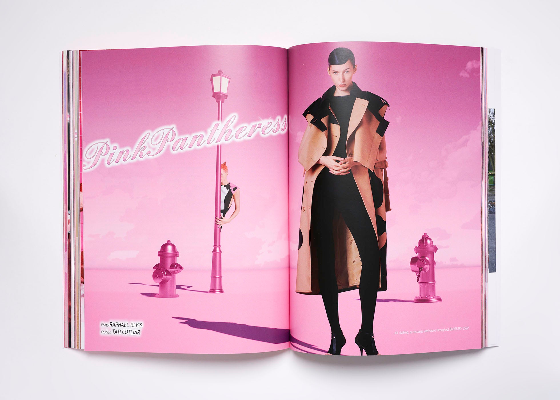 ISSUE 15: BUFFALO PINK (SS’22)